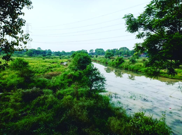 Bhadohi