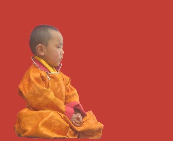 20th Kushok Bakula Rinpoche